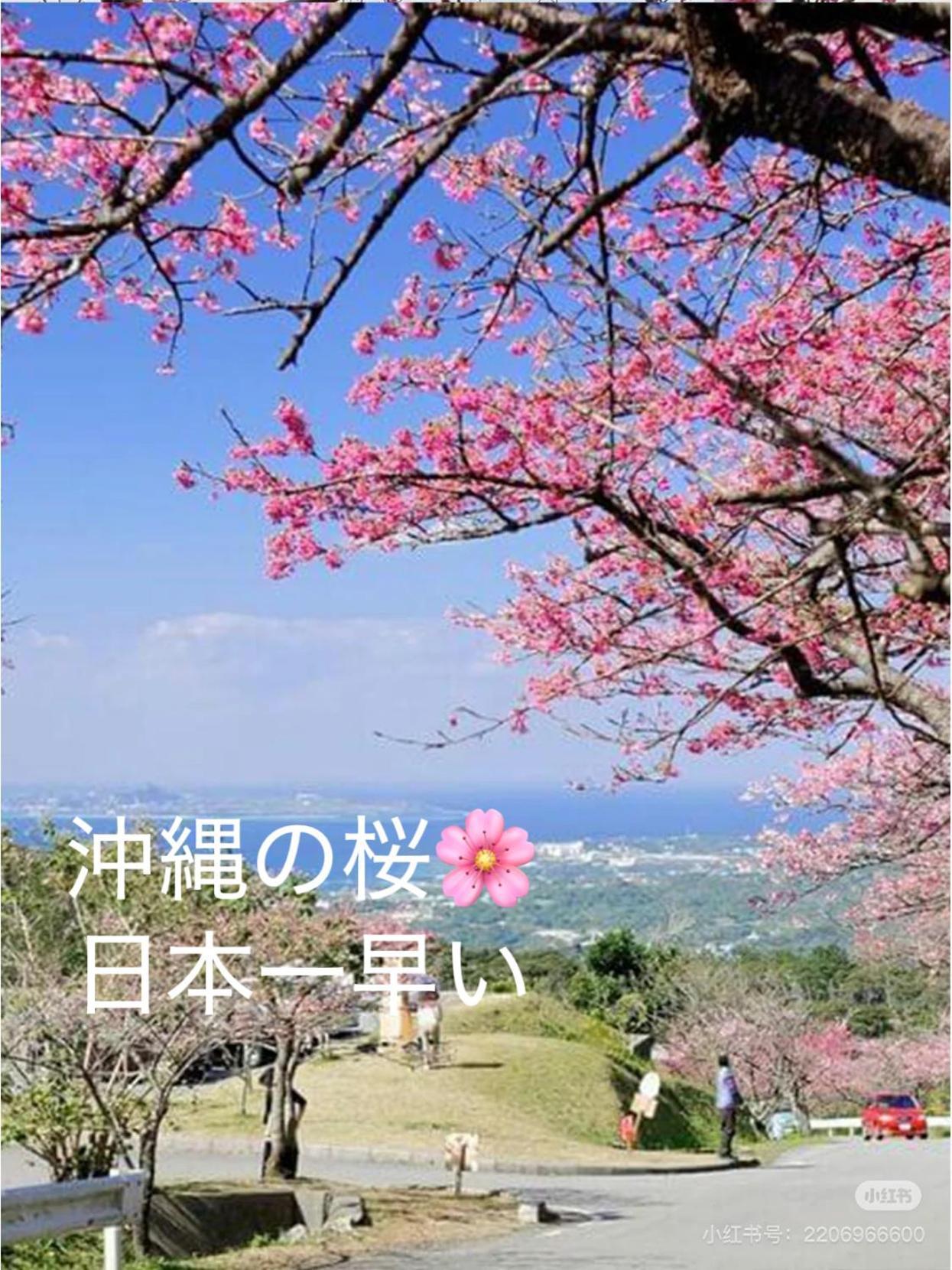 Yabu  Yuihouseヴィラ エクステリア 写真